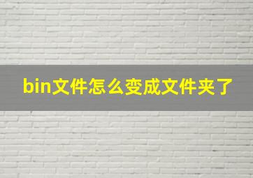 bin文件怎么变成文件夹了