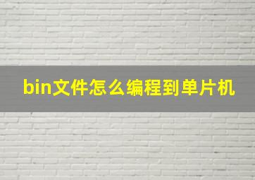 bin文件怎么编程到单片机