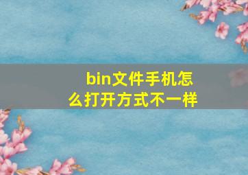 bin文件手机怎么打开方式不一样