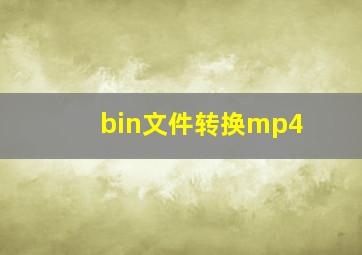 bin文件转换mp4