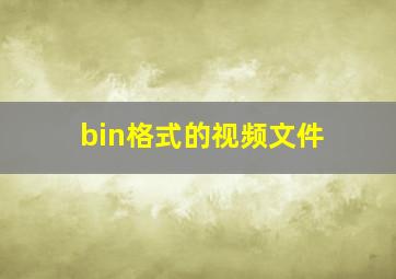 bin格式的视频文件