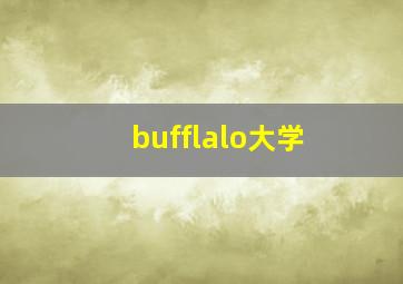 bufflalo大学