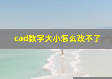 cad数字大小怎么改不了