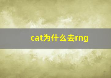 cat为什么去rng