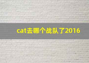 cat去哪个战队了2016