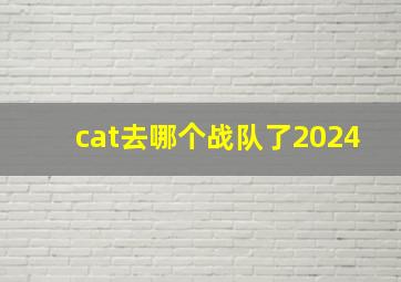 cat去哪个战队了2024