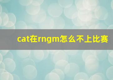 cat在rngm怎么不上比赛