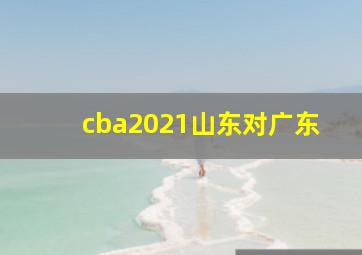 cba2021山东对广东