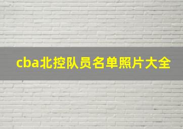 cba北控队员名单照片大全