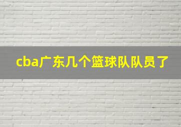 cba广东几个篮球队队员了