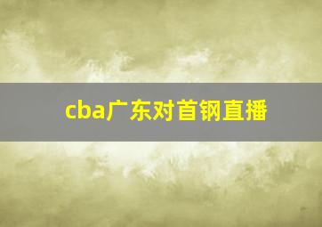 cba广东对首钢直播