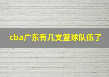 cba广东有几支篮球队伍了