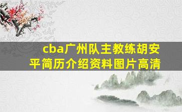 cba广州队主教练胡安平简历介绍资料图片高清