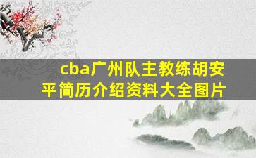 cba广州队主教练胡安平简历介绍资料大全图片