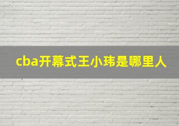 cba开幕式王小玮是哪里人