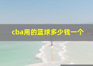 cba用的篮球多少钱一个