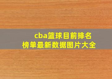 cba篮球目前排名榜单最新数据图片大全