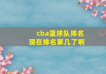 cba篮球队排名现在排名第几了啊