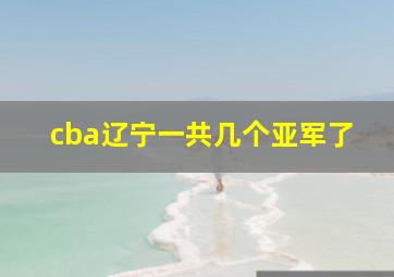 cba辽宁一共几个亚军了