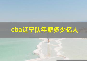 cba辽宁队年薪多少亿人