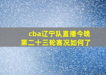 cba辽宁队直播今晚第二十三轮赛况如何了