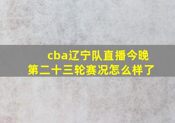 cba辽宁队直播今晚第二十三轮赛况怎么样了