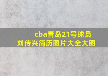 cba青岛21号球员刘传兴简历图片大全大图