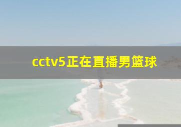 cctv5正在直播男篮球