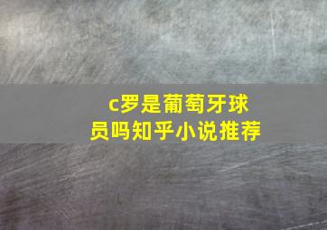 c罗是葡萄牙球员吗知乎小说推荐