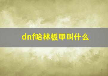 dnf哈林板甲叫什么