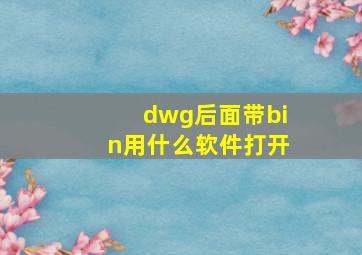 dwg后面带bin用什么软件打开