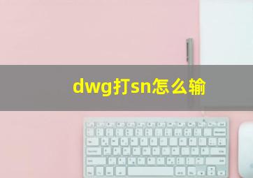 dwg打sn怎么输