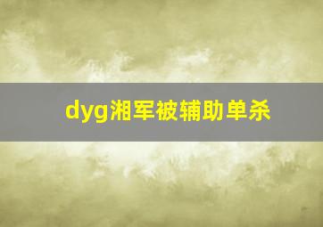 dyg湘军被辅助单杀