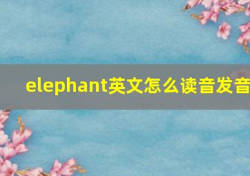 elephant英文怎么读音发音