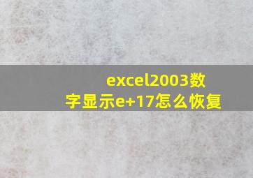 excel2003数字显示e+17怎么恢复