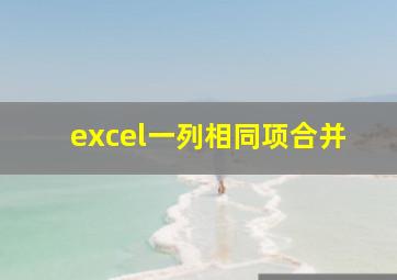 excel一列相同项合并