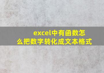 excel中有函数怎么把数字转化成文本格式