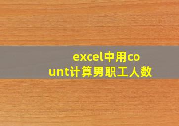 excel中用count计算男职工人数