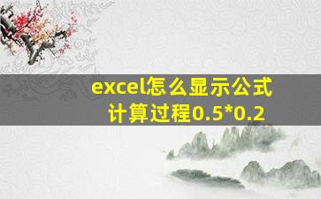 excel怎么显示公式计算过程0.5*0.2