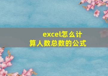 excel怎么计算人数总数的公式