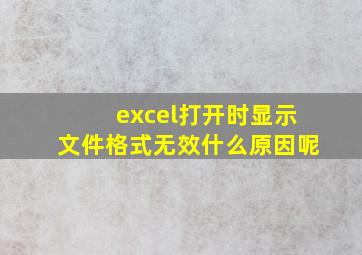 excel打开时显示文件格式无效什么原因呢