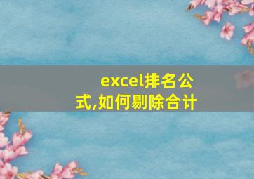 excel排名公式,如何剔除合计