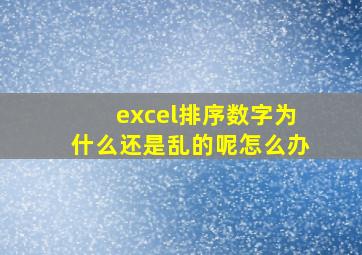 excel排序数字为什么还是乱的呢怎么办