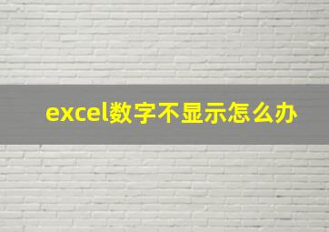 excel数字不显示怎么办