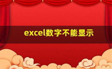 excel数字不能显示