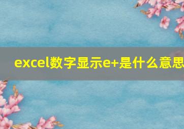 excel数字显示e+是什么意思