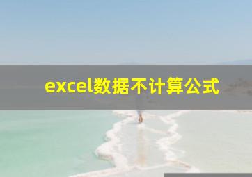 excel数据不计算公式