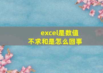 excel是数值不求和是怎么回事