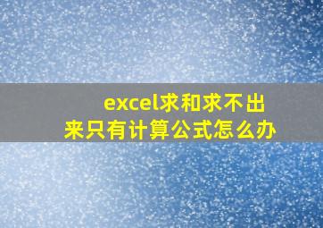 excel求和求不出来只有计算公式怎么办