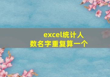 excel统计人数名字重复算一个